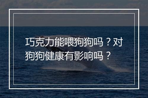 巧克力能喂狗狗吗？对狗狗健康有影响吗？