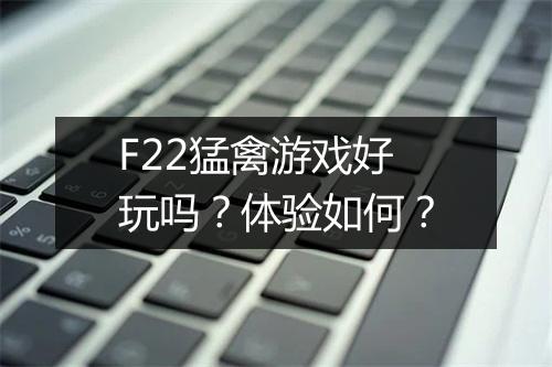 F22猛禽游戏好玩吗？体验如何？