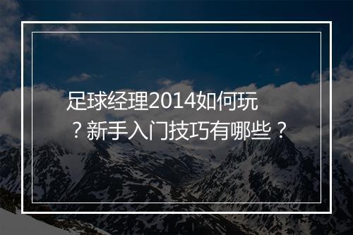 足球经理2014如何玩？新手入门技巧有哪些？