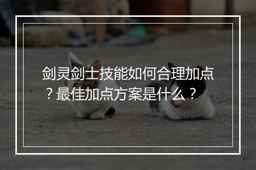 剑灵剑士技能如何合理加点？最佳加点方案是什么？