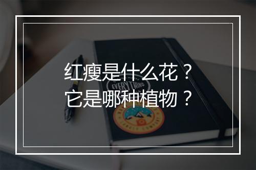 红瘦是什么花？它是哪种植物？