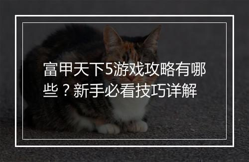 富甲天下5游戏攻略有哪些？新手必看技巧详解