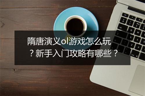 隋唐演义ol游戏怎么玩？新手入门攻略有哪些？