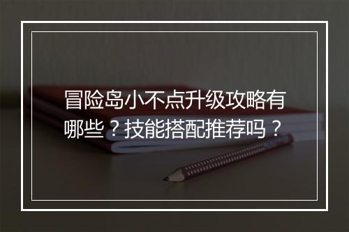 冒险岛小不点升级攻略有哪些？技能搭配推荐吗？