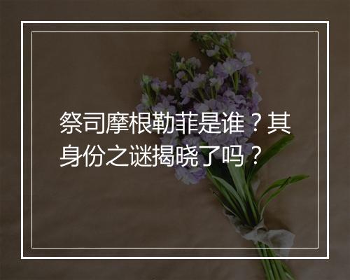 祭司摩根勒菲是谁？其身份之谜揭晓了吗？