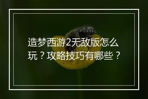 造梦西游2无敌版怎么玩？攻略技巧有哪些？