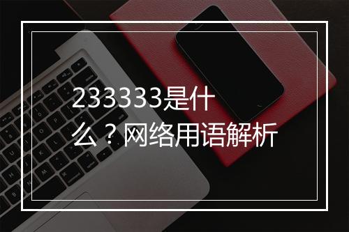 233333是什么？网络用语解析