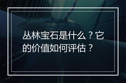 丛林宝石是什么？它的价值如何评估？