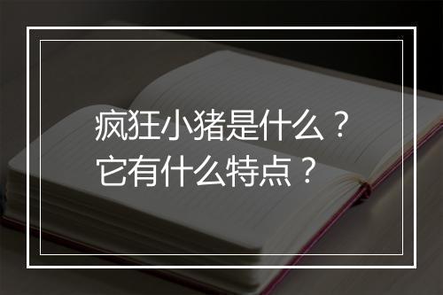 疯狂小猪是什么？它有什么特点？
