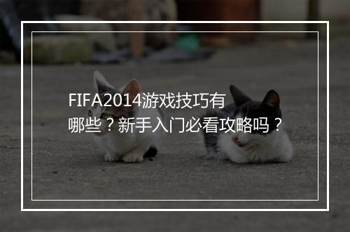 FIFA2014游戏技巧有哪些？新手入门必看攻略吗？