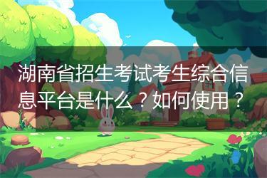 湖南省招生考试考生综合信息平台是什么？如何使用？