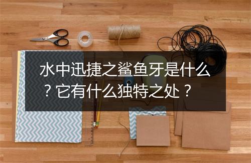 水中迅捷之鲨鱼牙是什么？它有什么独特之处？