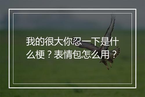 我的很大你忍一下是什么梗？表情包怎么用？