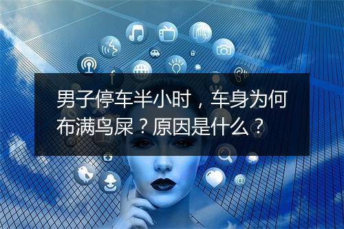 男子停车半小时，车身为何布满鸟屎？原因是什么？