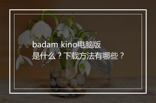 badam kino电脑版是什么？下载方法有哪些？