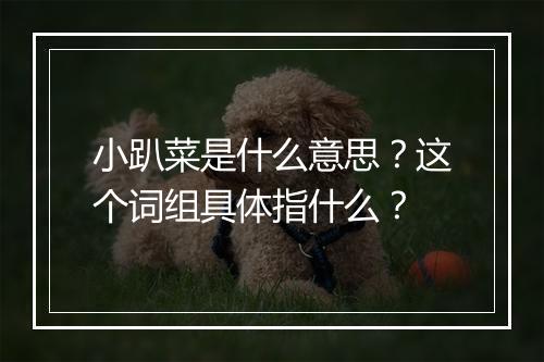 小趴菜是什么意思？这个词组具体指什么？