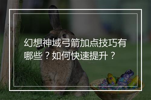 幻想神域弓箭加点技巧有哪些？如何快速提升？