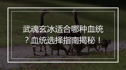 武魂玄冰适合哪种血统？血统选择指南揭秘！