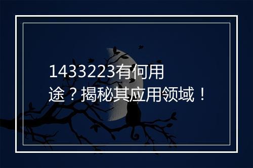 1433223有何用途？揭秘其应用领域！