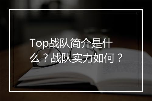 Top战队简介是什么？战队实力如何？