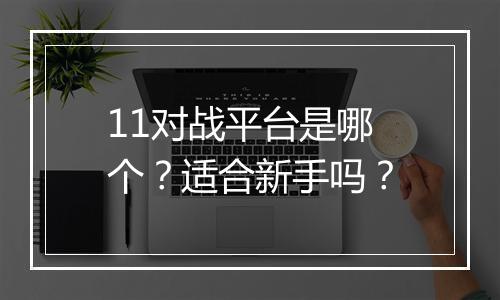 11对战平台是哪个？适合新手吗？