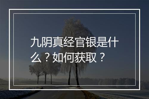 九阴真经官银是什么？如何获取？