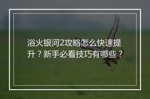 浴火银河2攻略怎么快速提升？新手必看技巧有哪些？