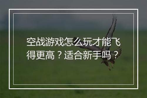 空战游戏怎么玩才能飞得更高？适合新手吗？