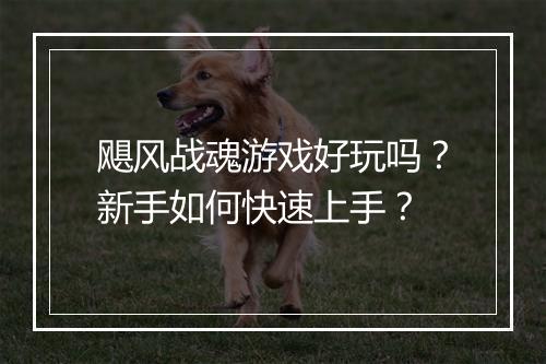 飓风战魂游戏好玩吗？新手如何快速上手？