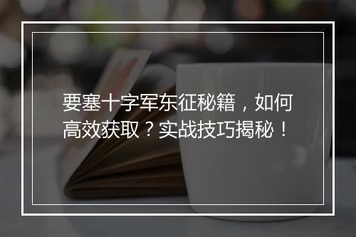 要塞十字军东征秘籍，如何高效获取？实战技巧揭秘！
