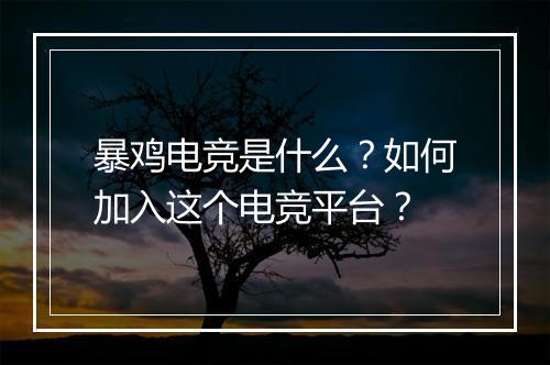 暴鸡电竞是什么？如何加入这个电竞平台？