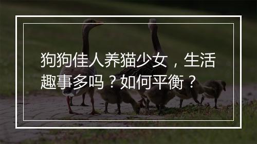 狗狗佳人养猫少女，生活趣事多吗？如何平衡？