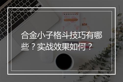 合金小子格斗技巧有哪些？实战效果如何？