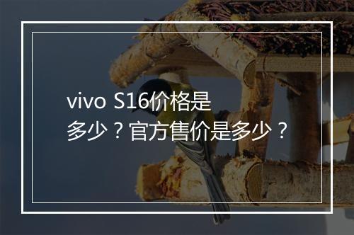 vivo S16价格是多少？官方售价是多少？