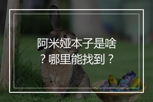 阿米娅本子是啥？哪里能找到？