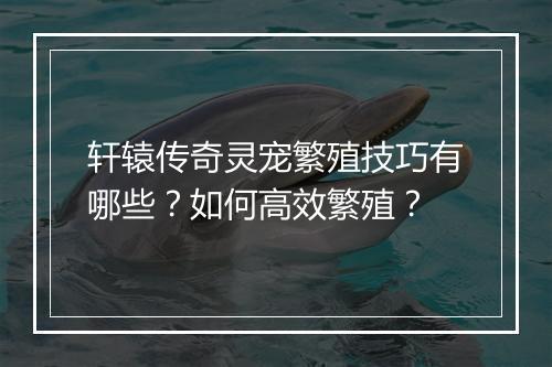 轩辕传奇灵宠繁殖技巧有哪些？如何高效繁殖？