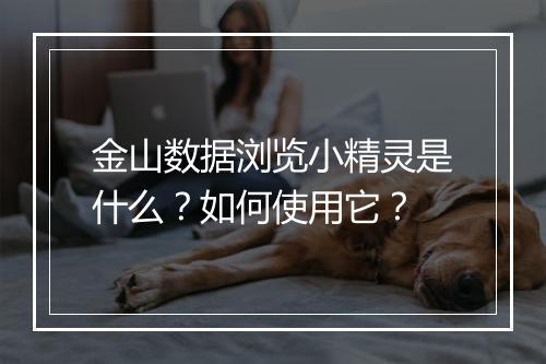 金山数据浏览小精灵是什么？如何使用它？