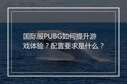 国际服PUBG如何提升游戏体验？配置要求是什么？