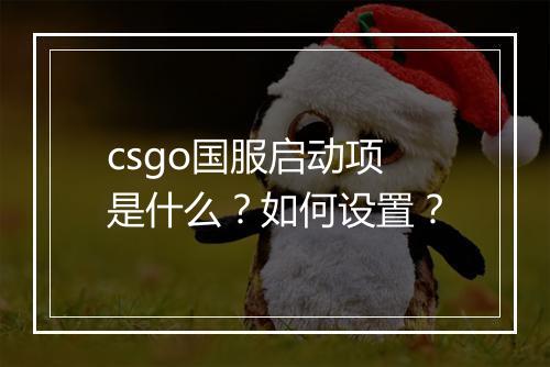csgo国服启动项是什么？如何设置？