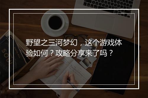 野望之三河梦幻，这个游戏体验如何？攻略分享来了吗？