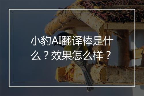 小豹AI翻译棒是什么？效果怎么样？