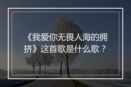 《我爱你无畏人海的拥挤》这首歌是什么歌？