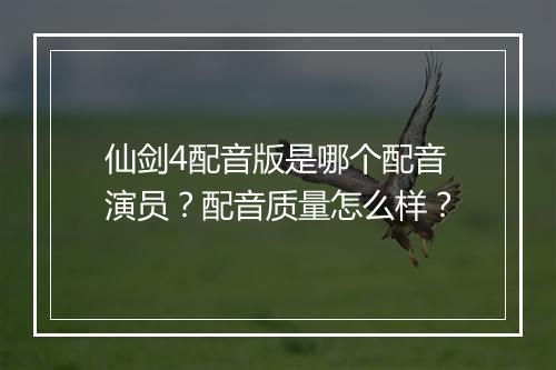 仙剑4配音版是哪个配音演员？配音质量怎么样？