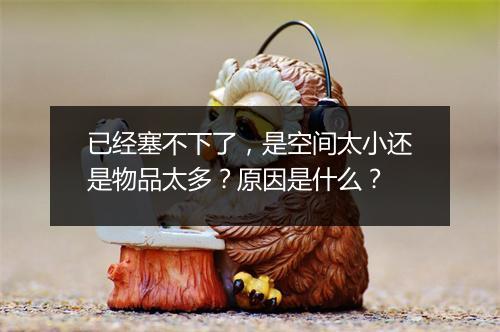 已经塞不下了，是空间太小还是物品太多？原因是什么？