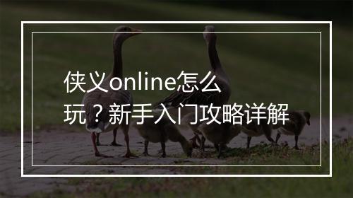 侠义online怎么玩？新手入门攻略详解