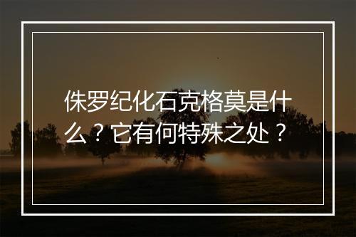 侏罗纪化石克格莫是什么？它有何特殊之处？