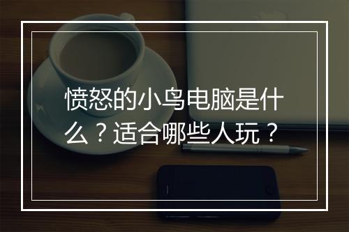 愤怒的小鸟电脑是什么？适合哪些人玩？