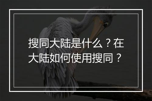 搜同大陆是什么？在大陆如何使用搜同？