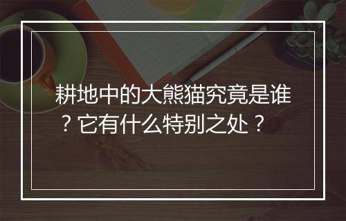 耕地中的大熊猫究竟是谁？它有什么特别之处？