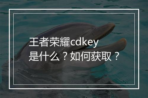 王者荣耀cdkey是什么？如何获取？
